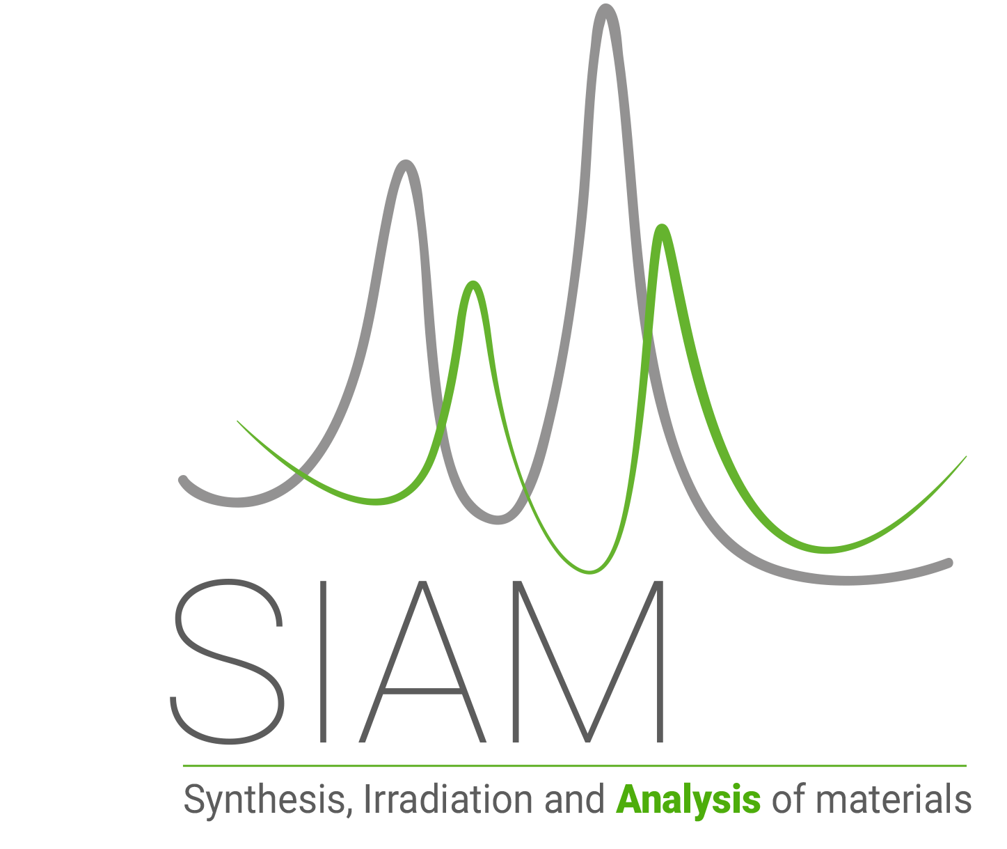 logo siam copie-01.png